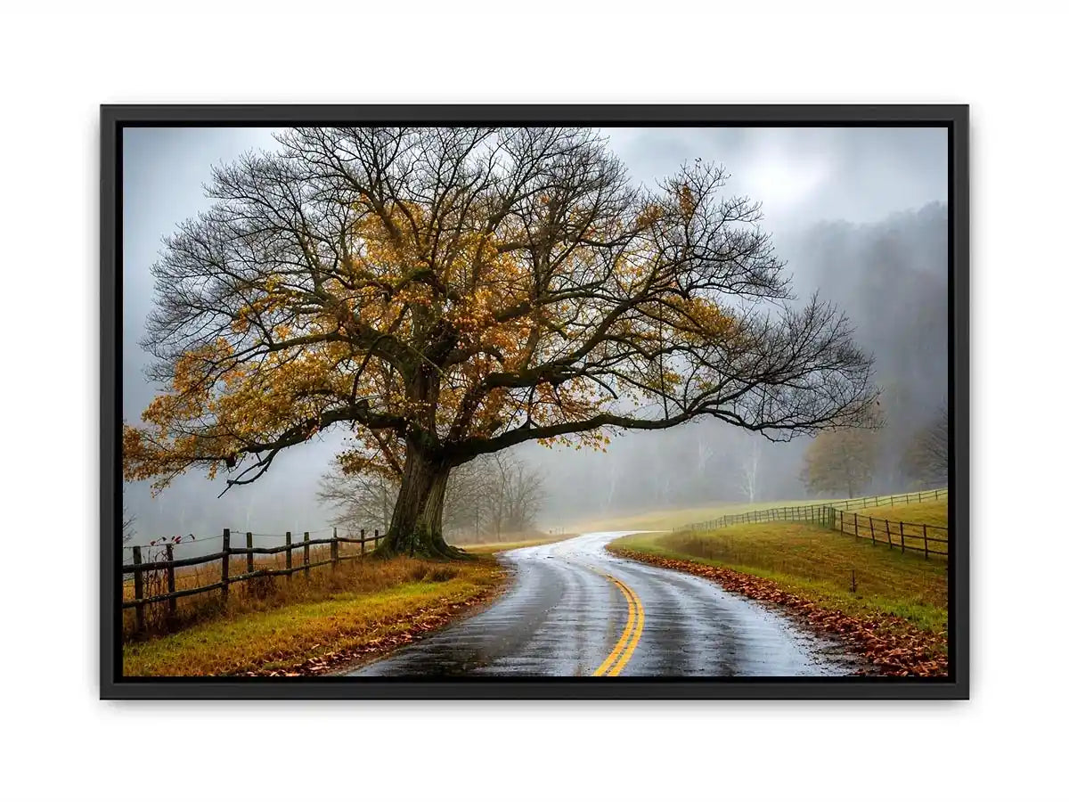 Mist-covered autumn road and tree