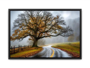 Mist-covered autumn road and tree