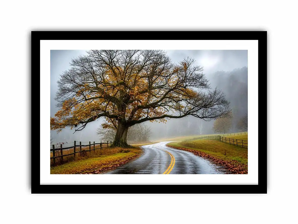 Mist-covered autumn road and tree