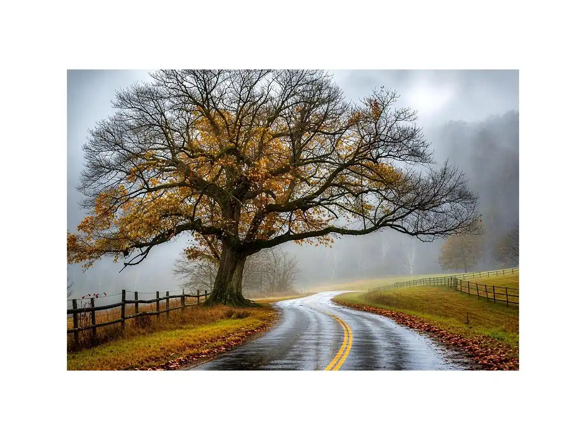 Mist-covered autumn road and tree