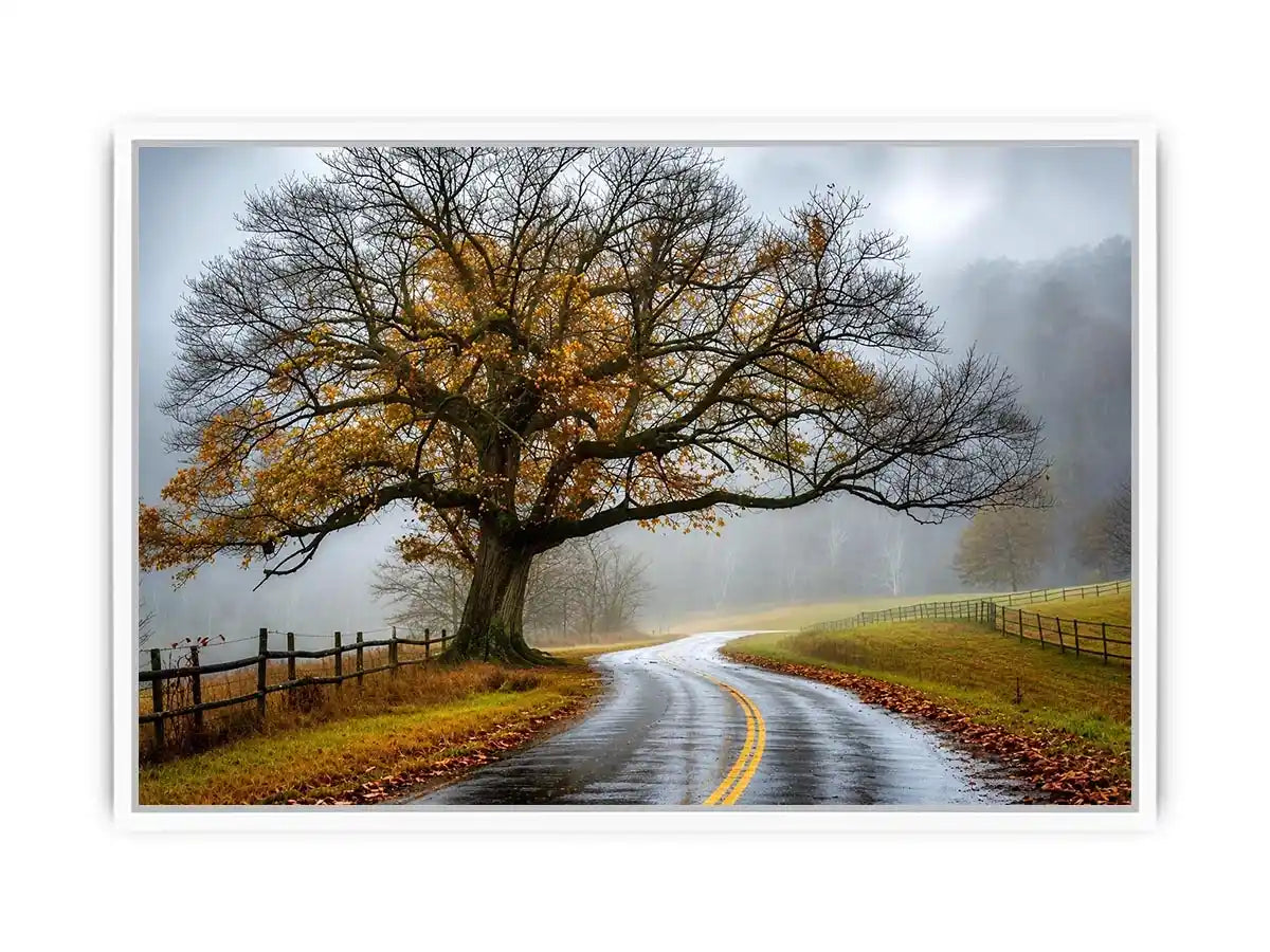 Mist-covered autumn road and tree