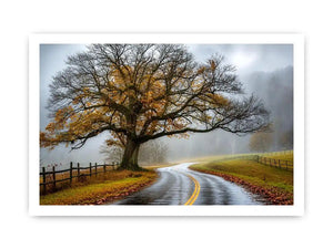 Mist-covered autumn road and tree