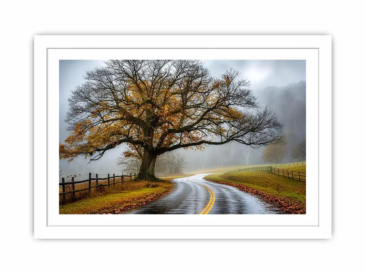 Mist-covered autumn road and tree
