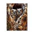 Two baby owls in a tree hollow
