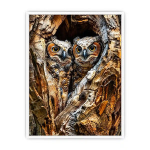 Two baby owls in a tree hollow