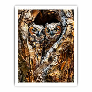 Two baby owls in a tree hollow