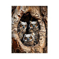 Juvenile owls in a hollow tree