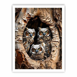 Juvenile owls in a hollow tree