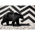 Black bear on textured sand backdrop