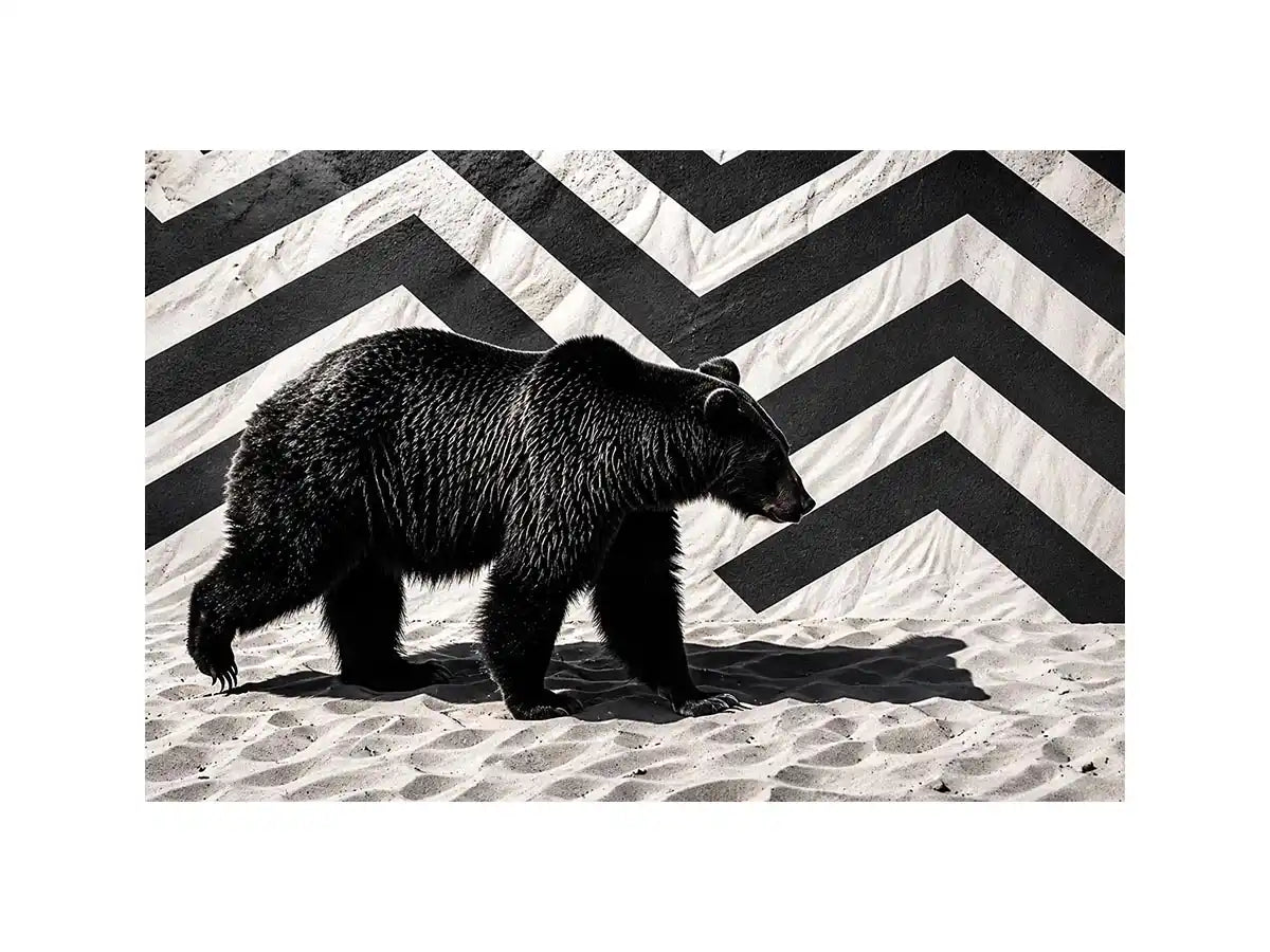 Black bear on textured sand backdrop