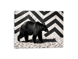 Black bear on textured sand backdrop