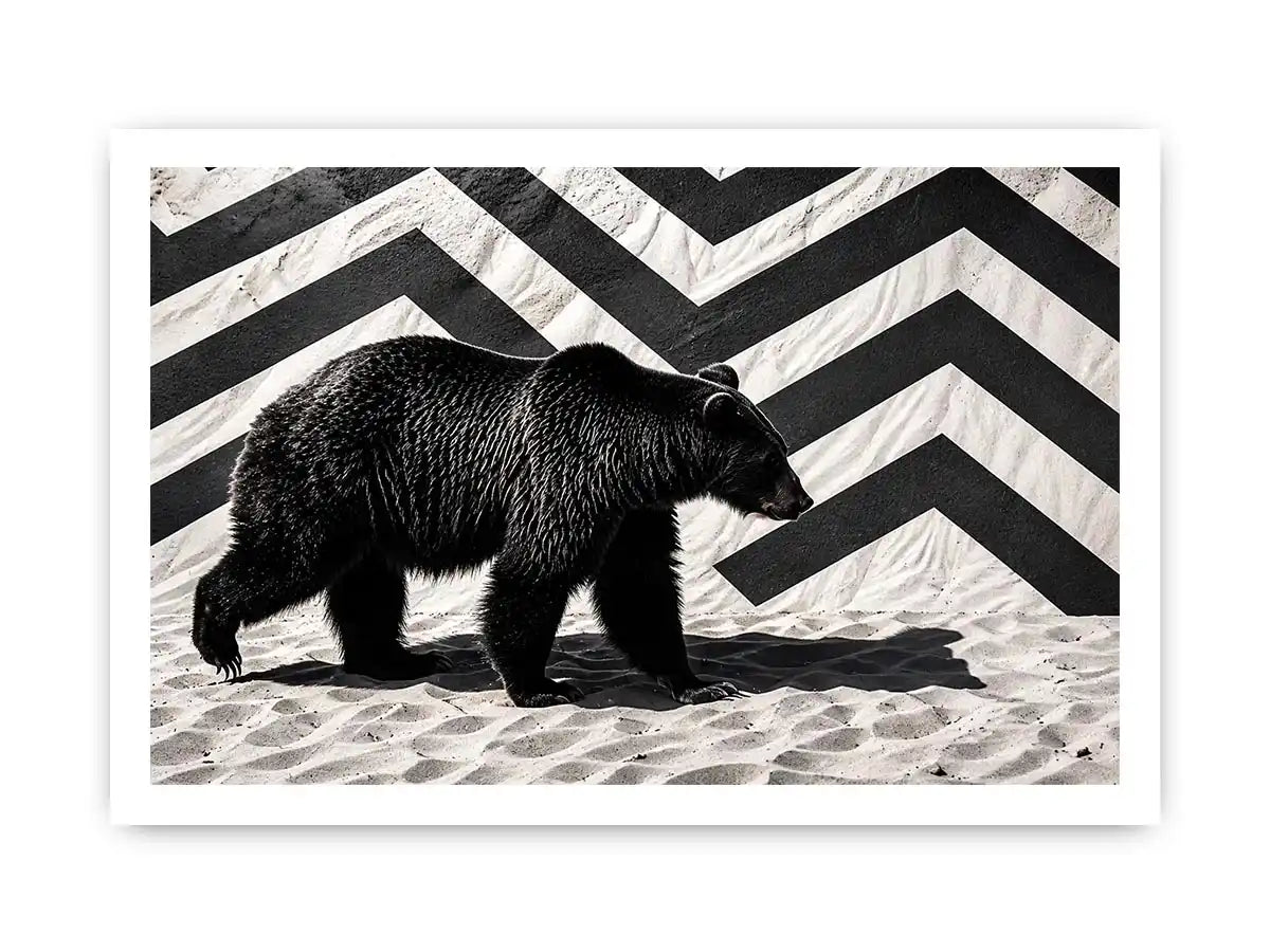 Black bear on textured sand backdrop
