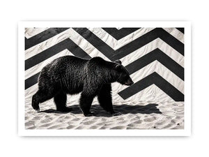 Black bear on textured sand backdrop