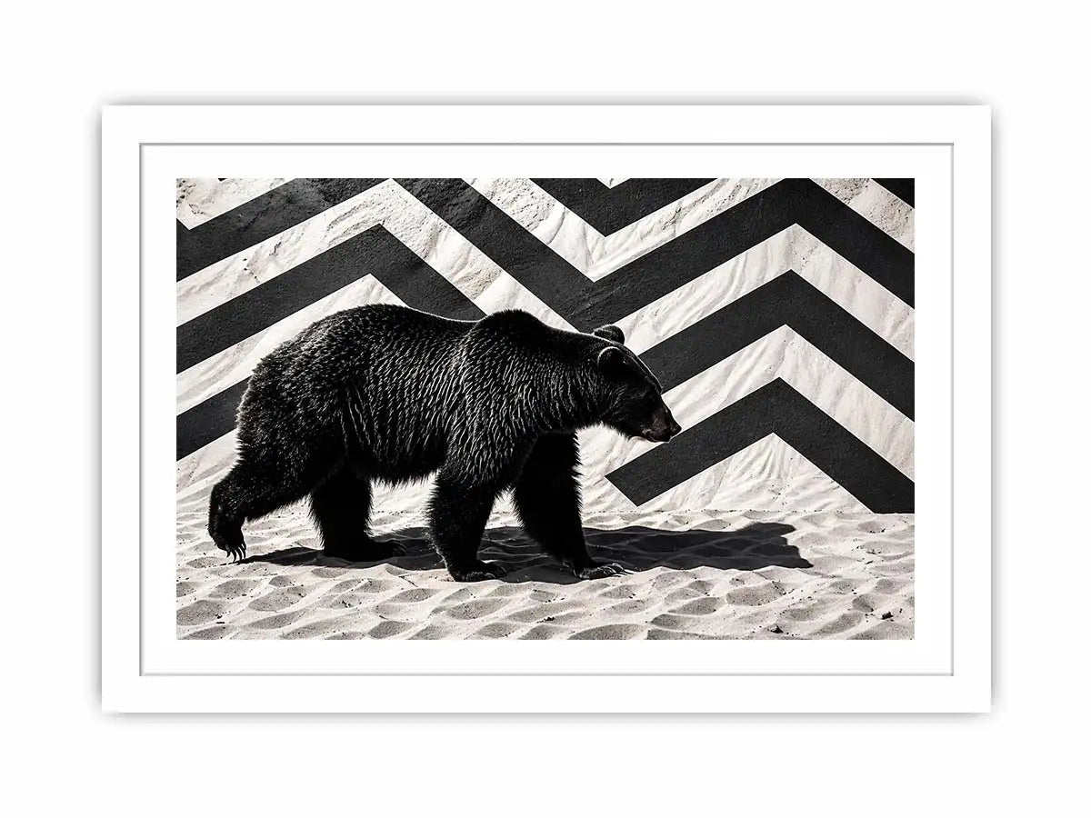 Black bear on textured sand backdrop