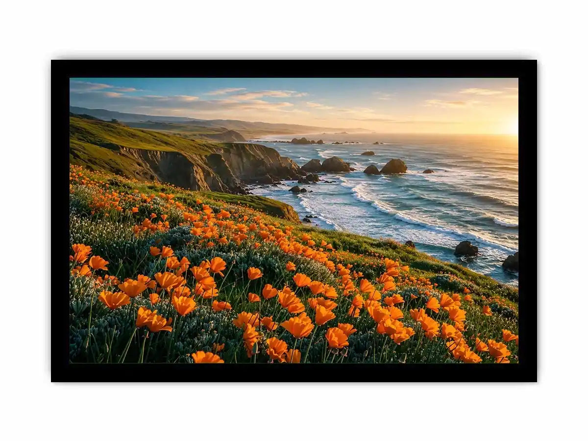 Sunlit coastal cliffs and wildflowers