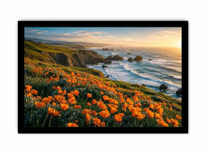 Sunlit coastal cliffs and wildflowers