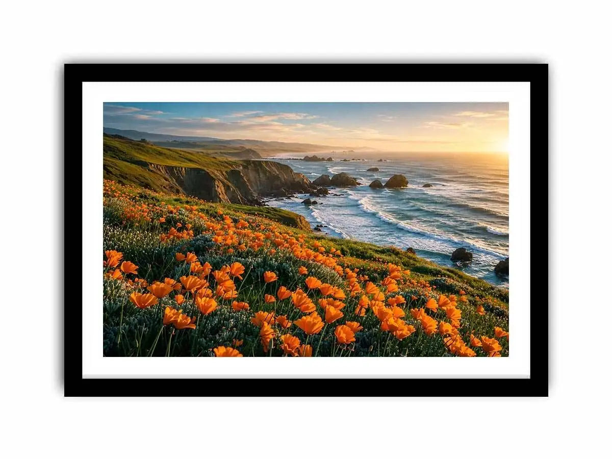 Sunlit coastal cliffs and wildflowers