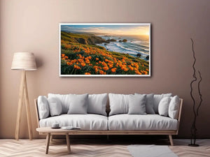 Sunlit coastal cliffs and wildflowers