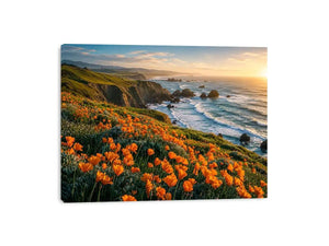 Sunlit coastal cliffs and wildflowers