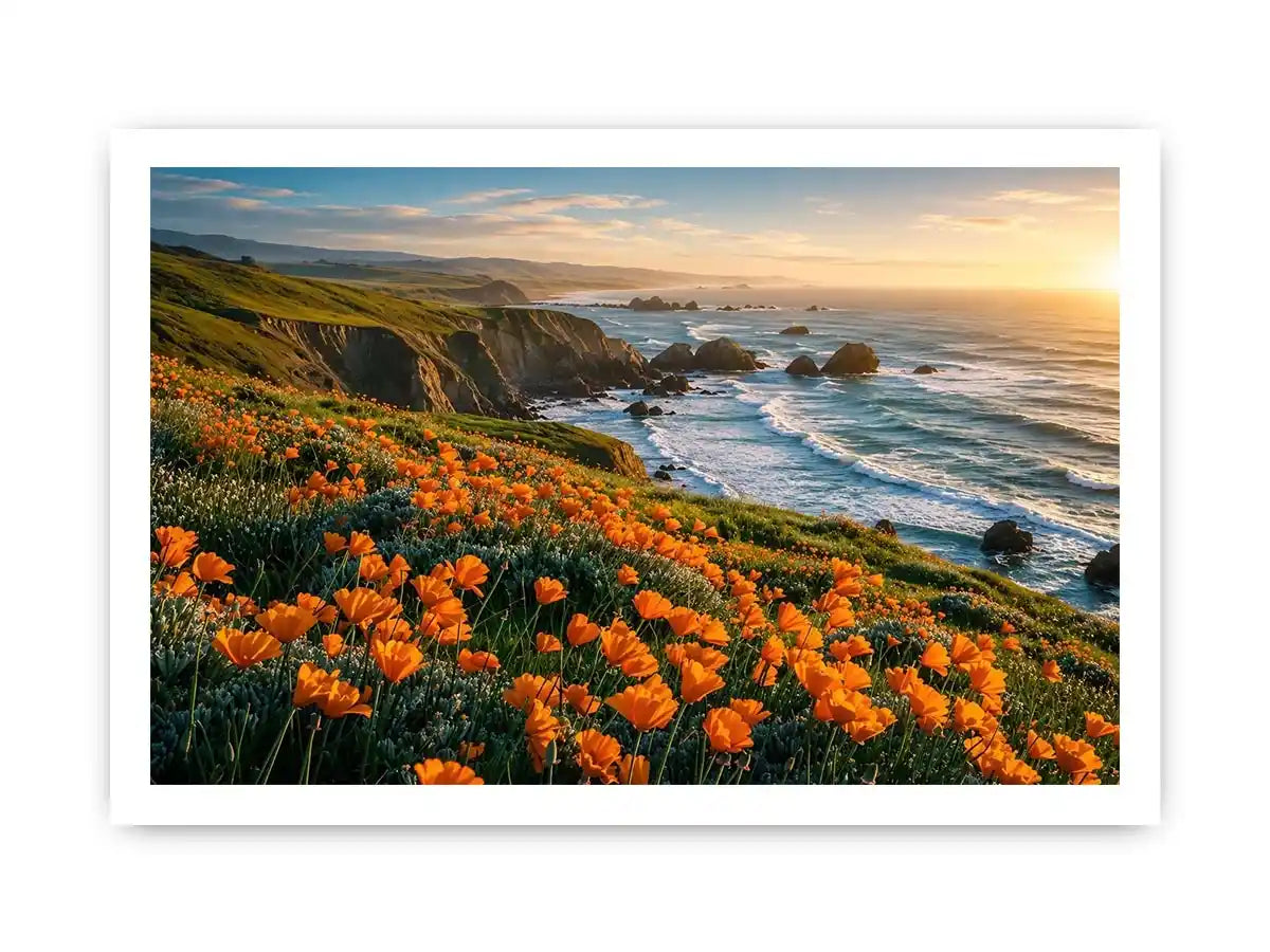 Sunlit coastal cliffs and wildflowers