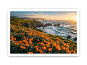 Sunlit coastal cliffs and wildflowers