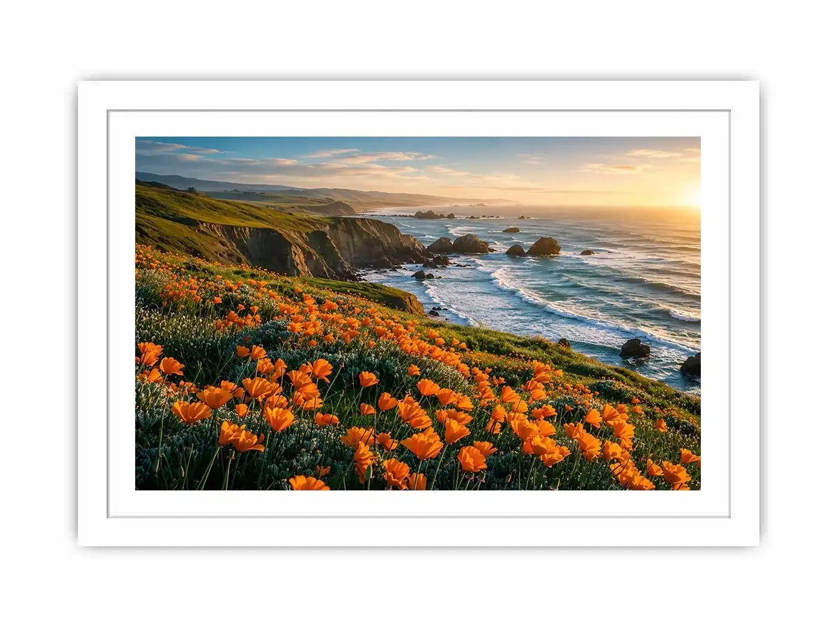 Sunlit coastal cliffs and wildflowers