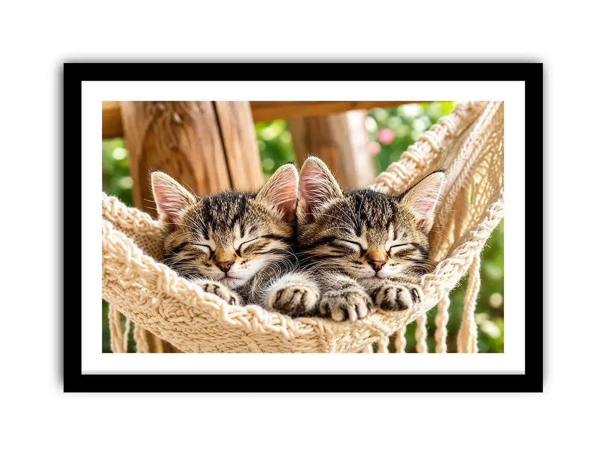 Sleeping kittens in a hammock