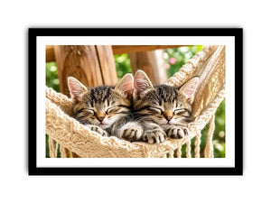 Sleeping kittens in a hammock