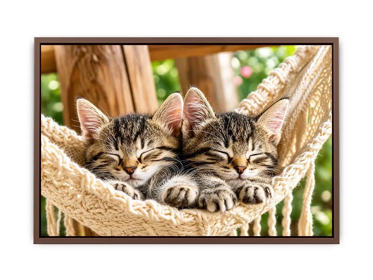 Sleeping kittens in a hammock