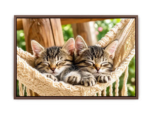 Sleeping kittens in a hammock