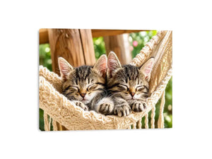 Sleeping kittens in a hammock