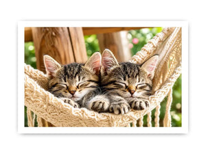 Sleeping kittens in a hammock