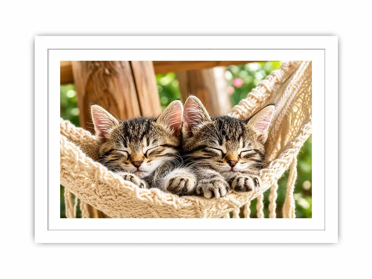 Sleeping kittens in a hammock