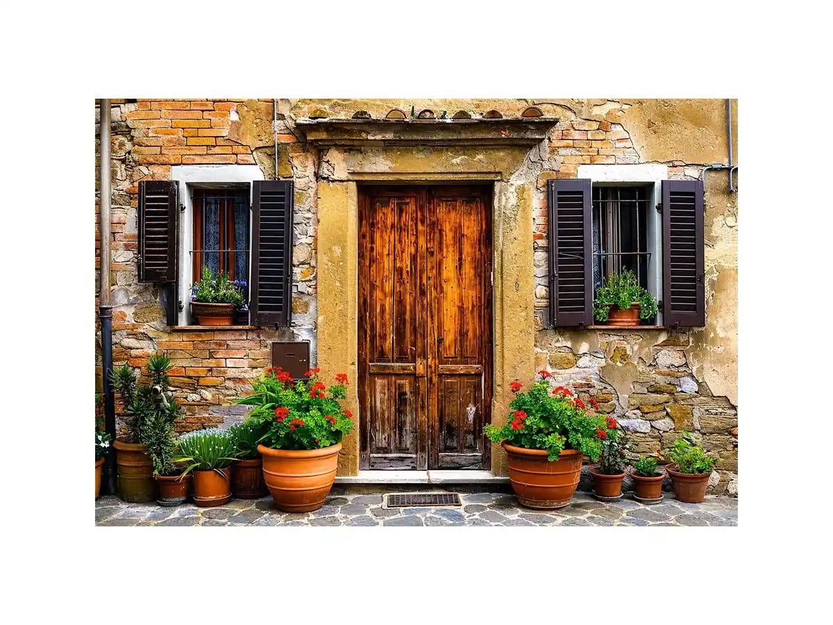 Charming Mediterranean doorstep with plants