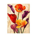 Botanical collage with vibrant poppies and callas