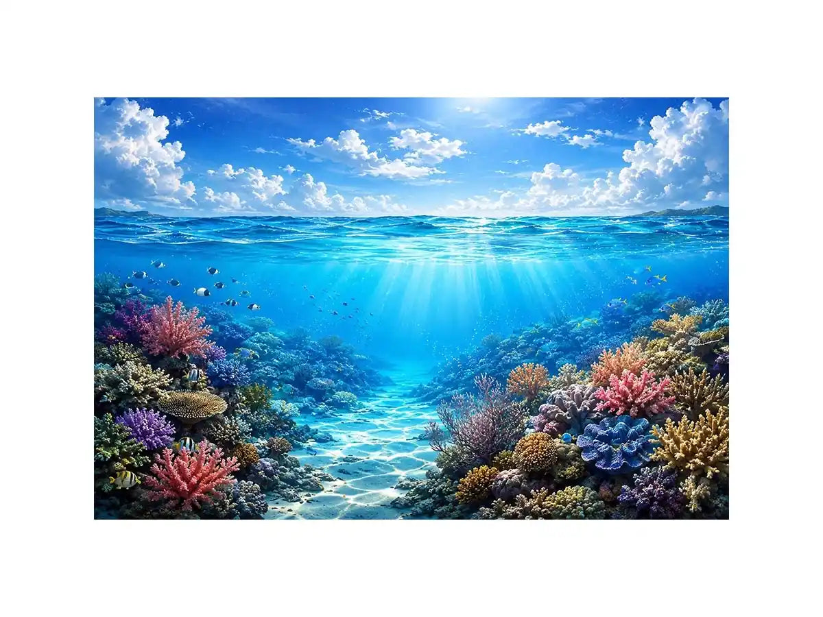 Tropical sea and coral beauty
