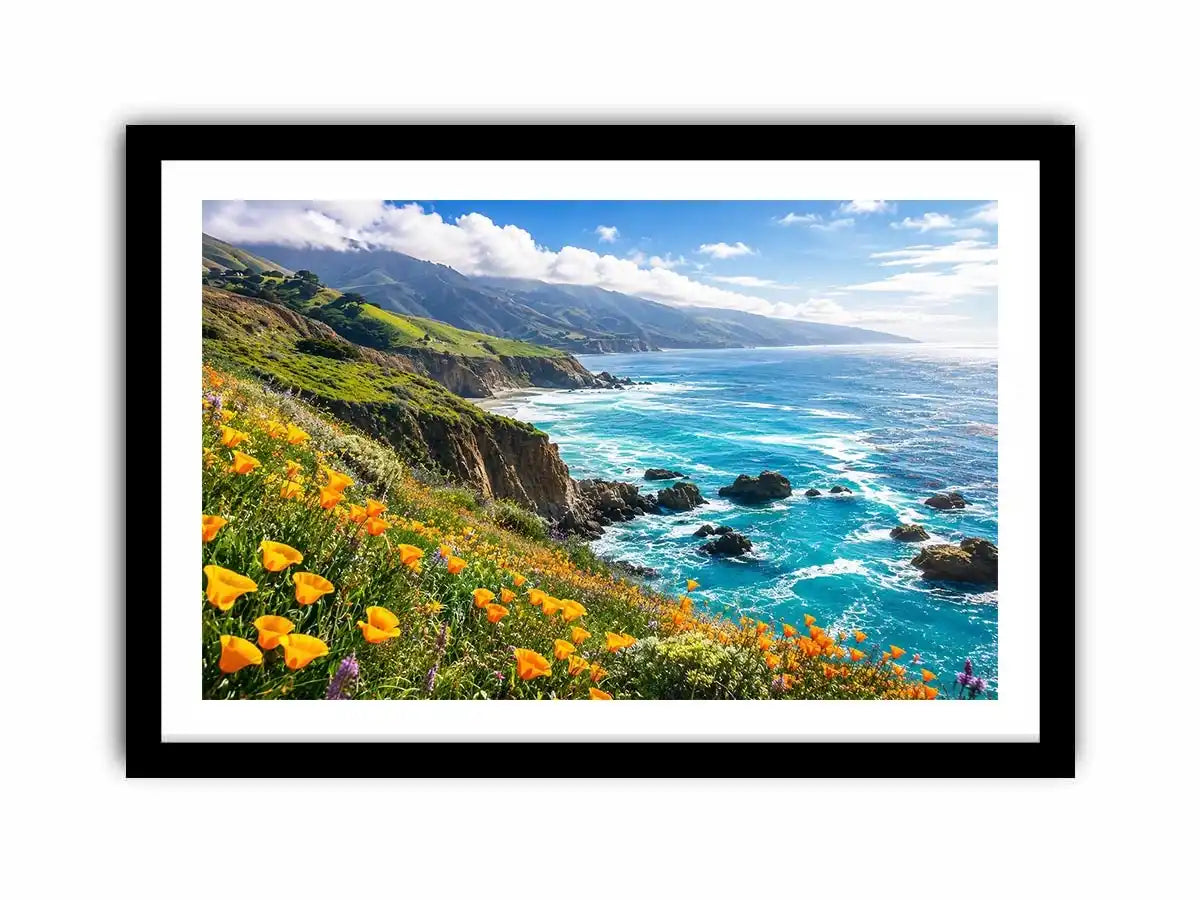 Coastal cliffs and wildflower meadow