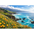 Coastal cliffs and wildflower meadow