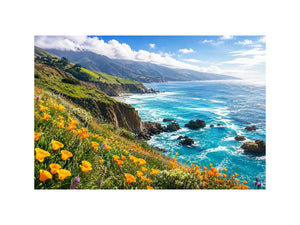 Coastal cliffs and wildflower meadow
