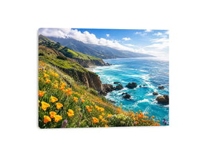 Coastal cliffs and wildflower meadow