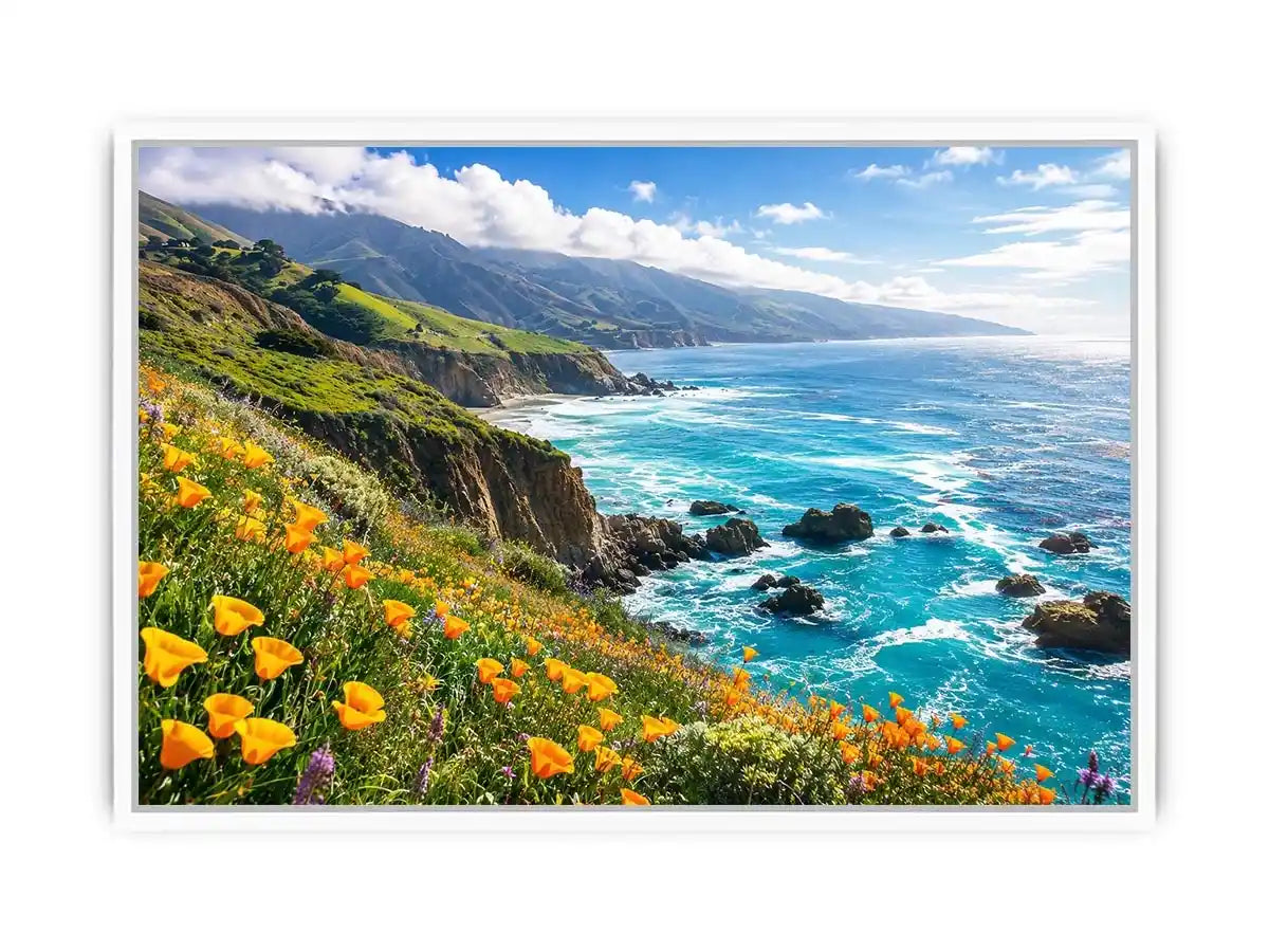 Coastal cliffs and wildflower meadow
