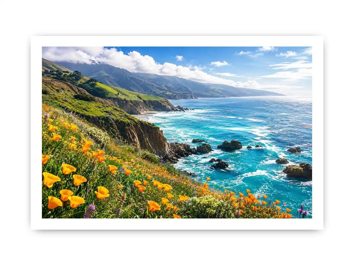 Coastal cliffs and wildflower meadow