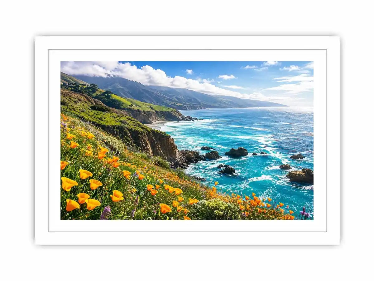 Coastal cliffs and wildflower meadow
