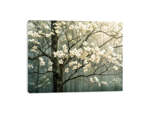 Misty dogwood blooms in foggy forest