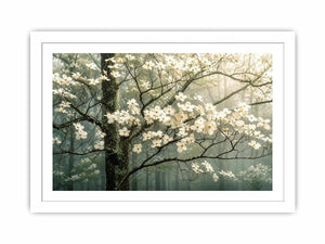 Misty dogwood blooms in foggy forest