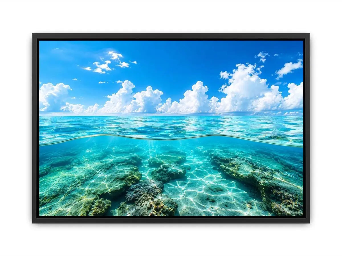 Tropical split-view seascape and reef