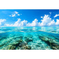 Tropical split-view seascape and reef