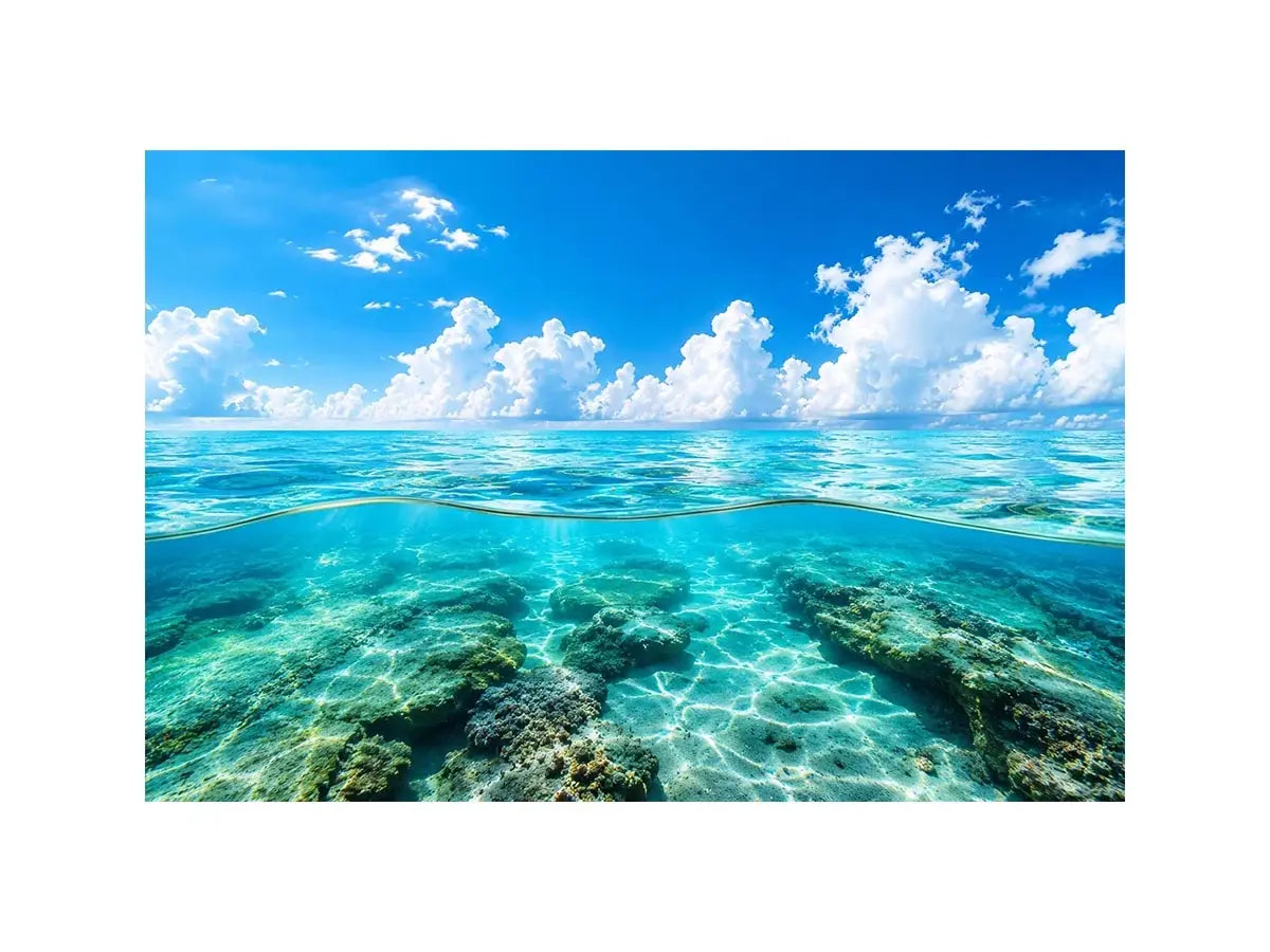 Tropical split-view seascape and reef
