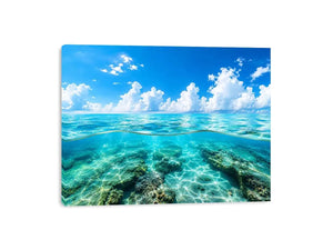 Tropical split-view seascape and reef