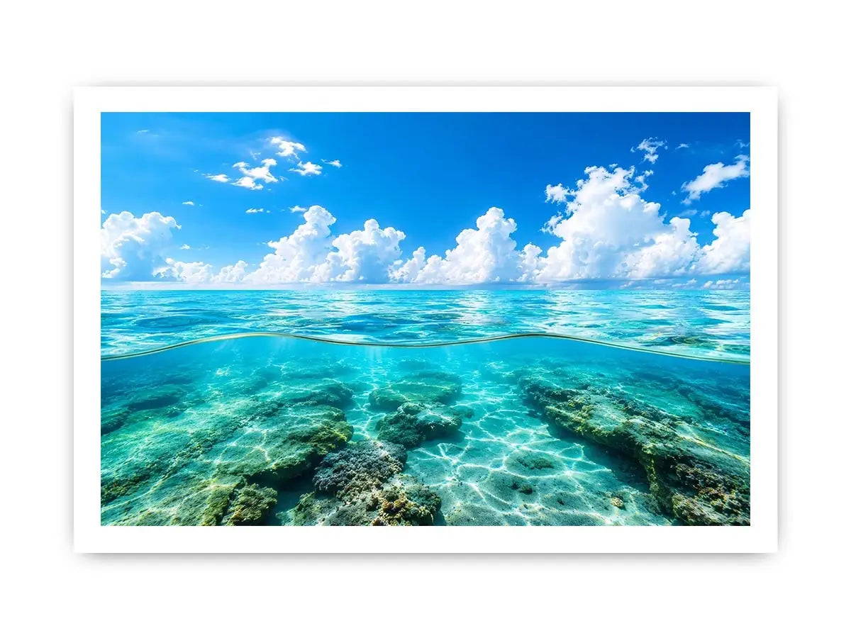 Tropical split-view seascape and reef